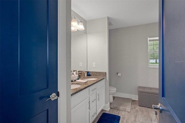 16473 Scaup Duck Ave, Weeki Wachee, FL 34614 - full bathroom with double vanity, toilet, wood finished floors, and baseboards