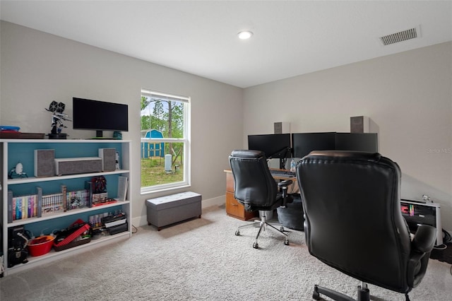 16473 Scaup Duck Ave, Weeki Wachee, FL 34614 - office area with carpet and baseboards