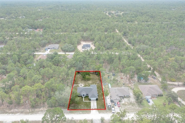 16473 Scaup Duck Ave, Weeki Wachee, FL 34614 - aerial view of property and surrounding area with a forest and property boundaries highlighted