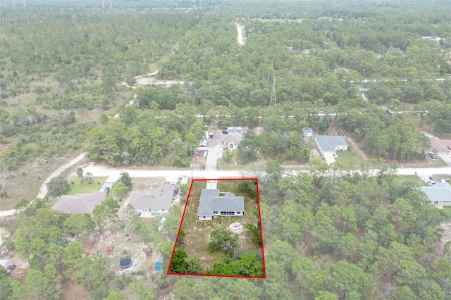 16473 Scaup Duck Ave, Weeki Wachee, FL 34614 - view of property location featuring a heavily wooded area and property parcel outlined
