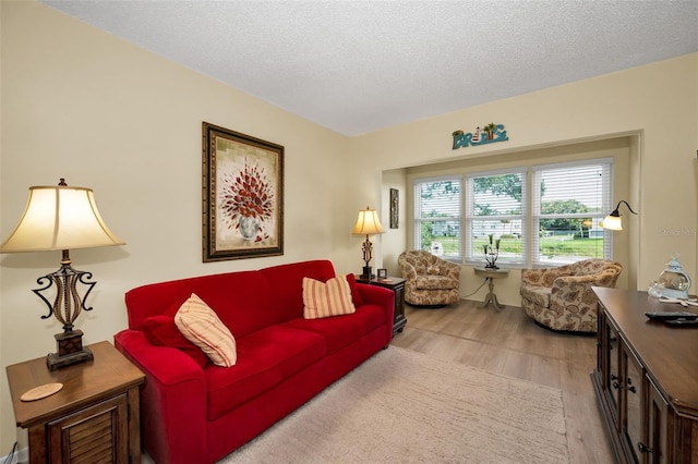 960 Virginia St Unit 202, Dunedin, FL 34698 - living room featuring wood finished floors and a textured ceiling