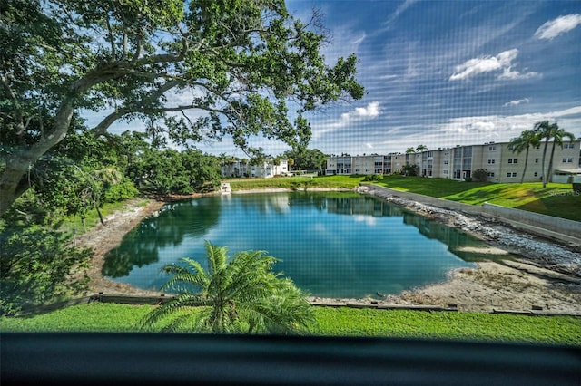 960 Virginia St Unit 202, Dunedin, FL 34698 - water view
