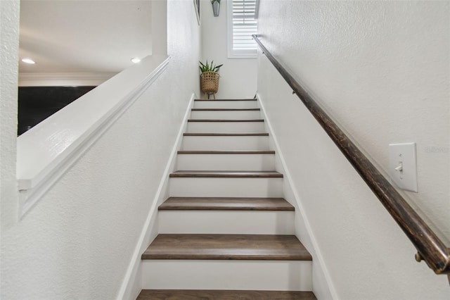 10422 Fenceline Rd, New Port Richey, FL 34655 - view of stairway