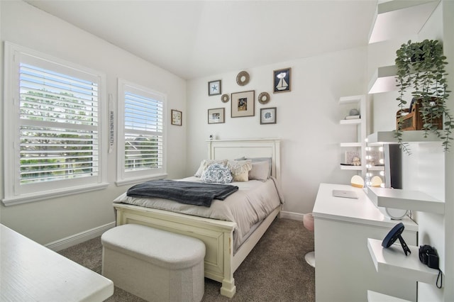 10422 Fenceline Rd, New Port Richey, FL 34655 - bedroom featuring baseboards and dark carpet