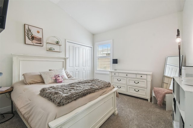 10422 Fenceline Rd, New Port Richey, FL 34655 - bedroom featuring lofted ceiling, dark carpet, and a closet