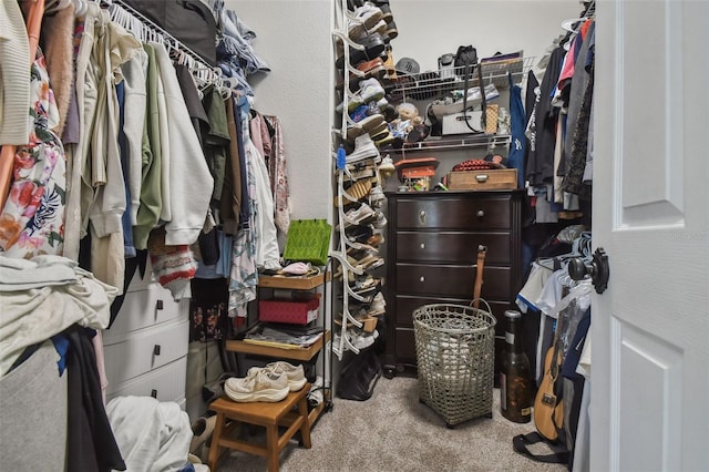 10422 Fenceline Rd, New Port Richey, FL 34655 - spacious closet featuring carpet