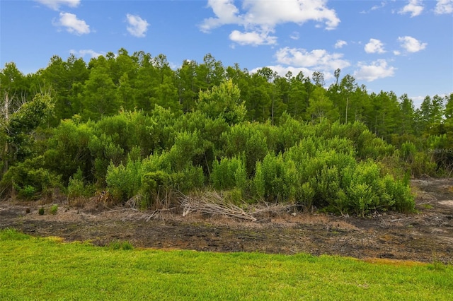 10422 Fenceline Rd, New Port Richey, FL 34655 - view of tree filled area