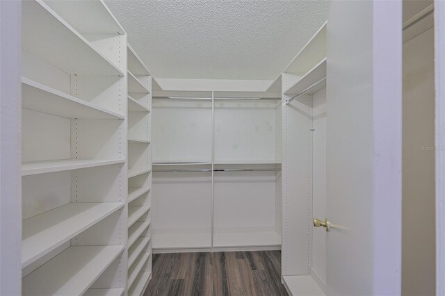 1508 Ingram Dr Unit 20, Sun City Center, FL 33573 - walk in closet with dark wood-type flooring