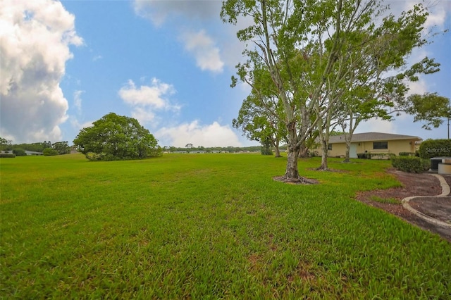 1508 Ingram Dr Unit 20, Sun City Center, FL 33573 - view of grassy yard
