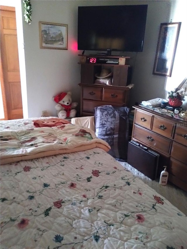 39343/39349 Rusbe, Zephyrhills, FL 33540 - view of bedroom
