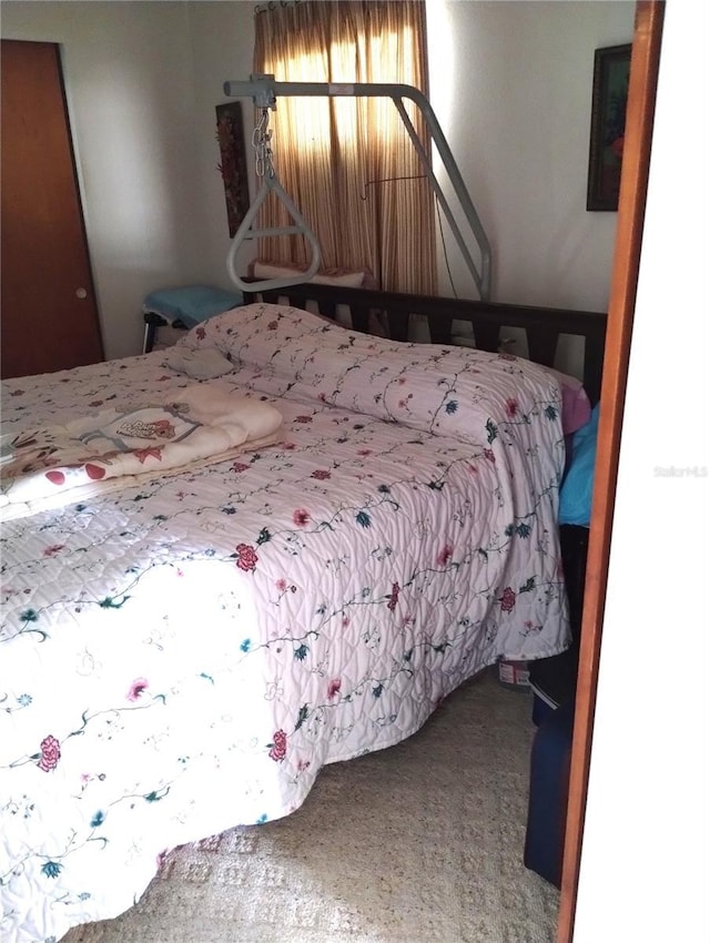 39343/39349 Rusbe, Zephyrhills, FL 33540 - bedroom with carpet floors