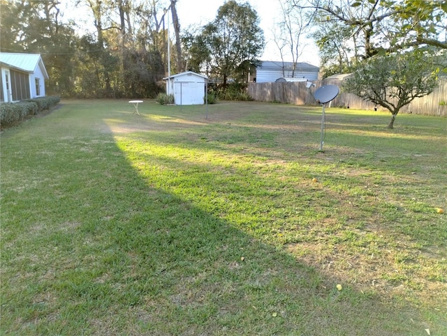 39343/39349 Rusbe, Zephyrhills, FL 33540 - view of yard