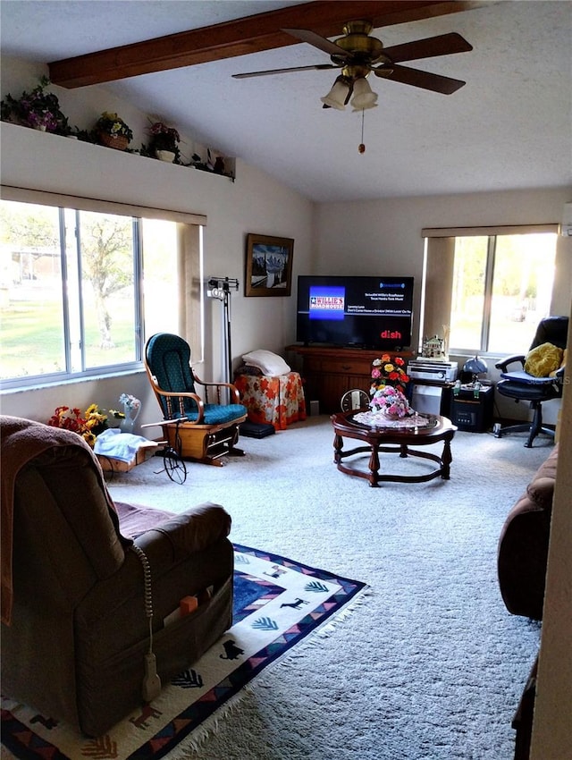 39343/39349 Rusbe, Zephyrhills, FL 33540 - living room with ceiling fan and carpet floors
