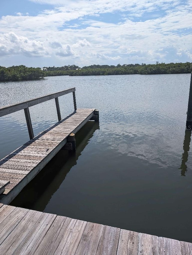 85 Heather Point Ct Unit 850, New Smyrna Beach, FL 32169 - dock featuring a water view