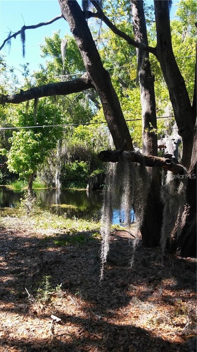 Lake Lowery Rd, Haines City, FL 33844