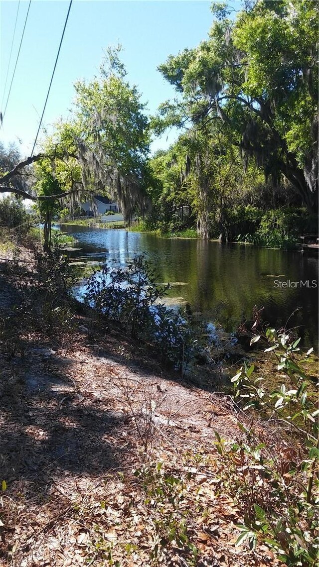 Lake Lowery Rd, Haines City, FL 33844