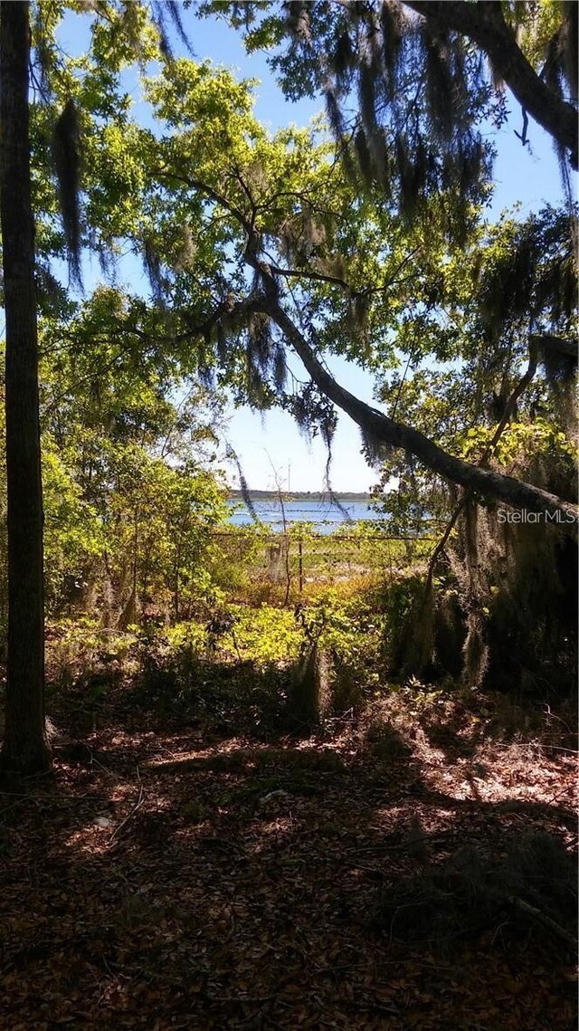 Lake Lowery Rd, Haines City, FL 33844