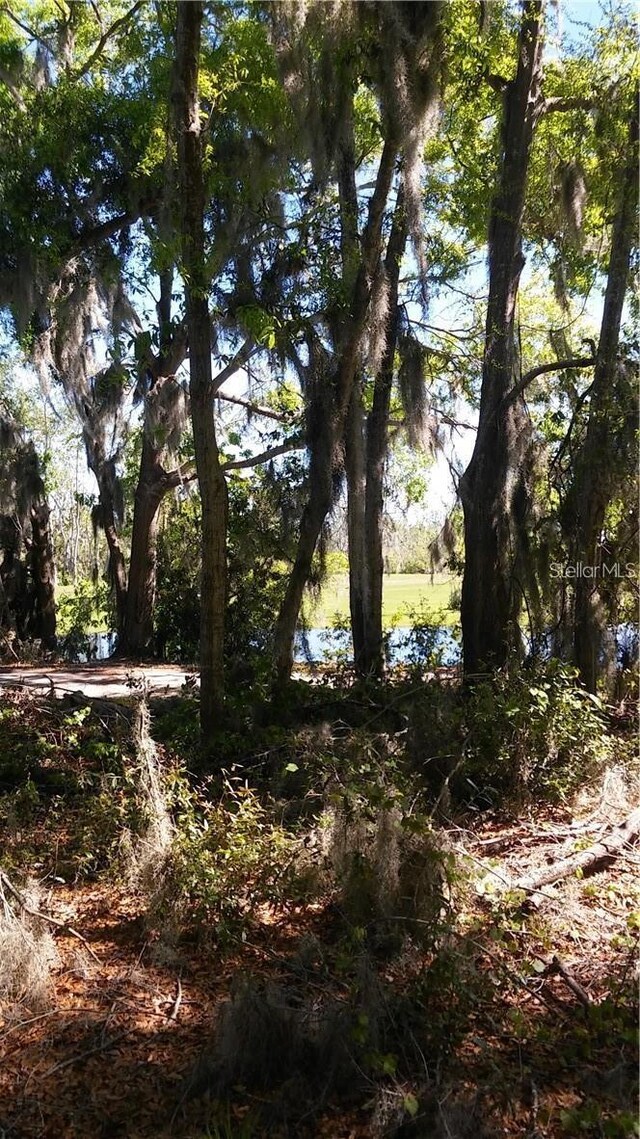 Lake Lowery Rd, Haines City, FL 33844