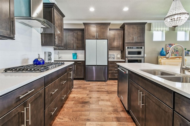 14110 Barrington Stowers Dr, Lithia, FL 33547 - kitchen featuring appliances with stainless steel finishes, a sink, ventilation hood, light countertops, and light wood-style flooring