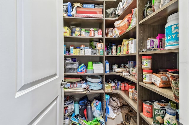 14110 Barrington Stowers Dr, Lithia, FL 33547 - view of storage area