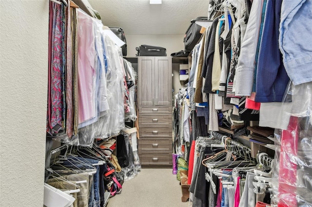 14110 Barrington Stowers Dr, Lithia, FL 33547 - walk in closet with light carpet