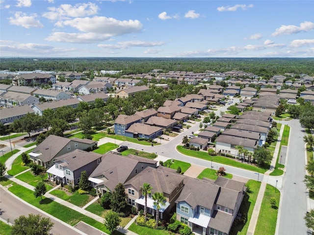 14110 Barrington Stowers Dr, Lithia, FL 33547 - aerial view of residential area