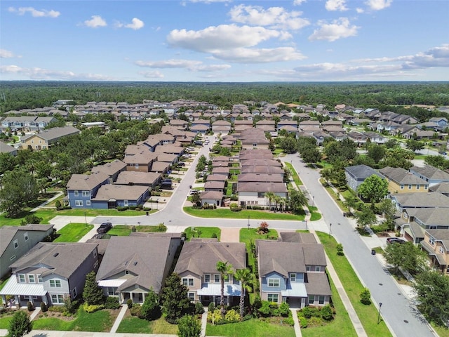 14110 Barrington Stowers Dr, Lithia, FL 33547 - aerial perspective of suburban area