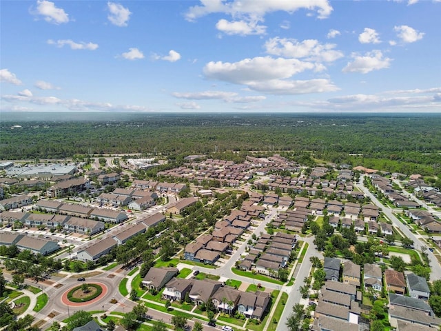 14110 Barrington Stowers Dr, Lithia, FL 33547 - aerial view of property and surrounding area featuring a forest and nearby suburban area