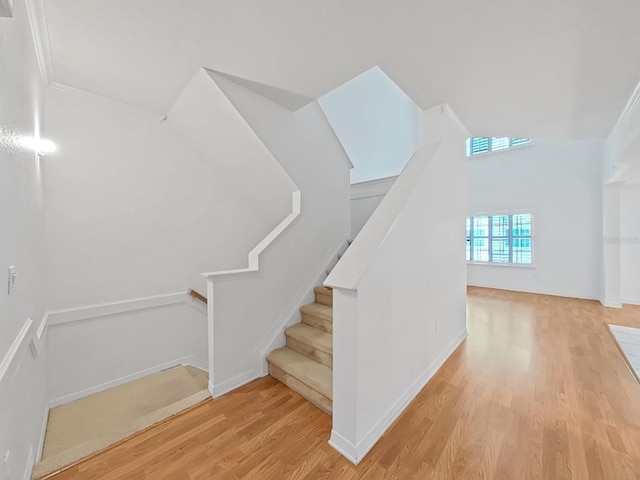 9731 Meadow Field Cir, Tampa, FL 33626 - photo 5