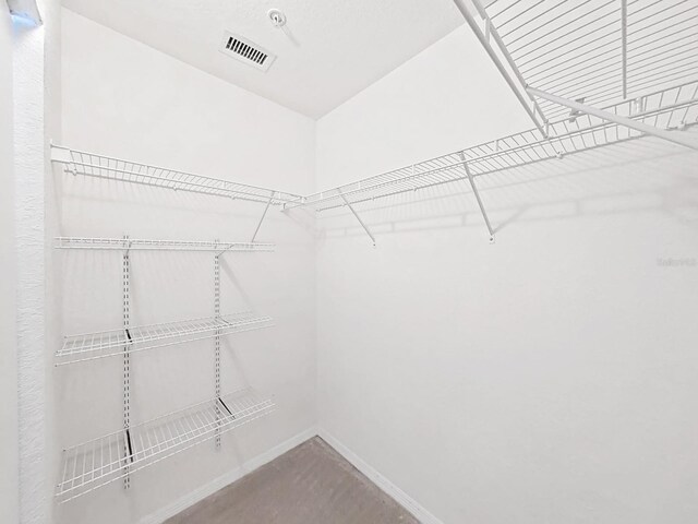 9731 Meadow Field Cir, Tampa, FL 33626 - photo 25