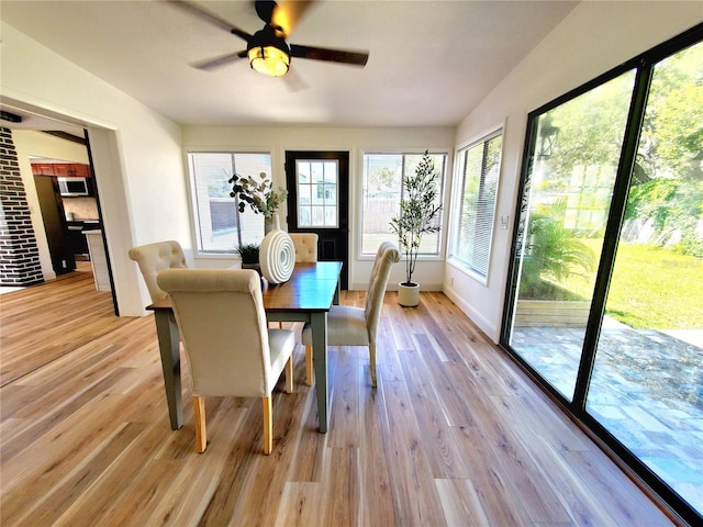 1373 Fairfax Rd, Clearwater, FL 33764 - dining space featuring light wood-style floors and ceiling fan