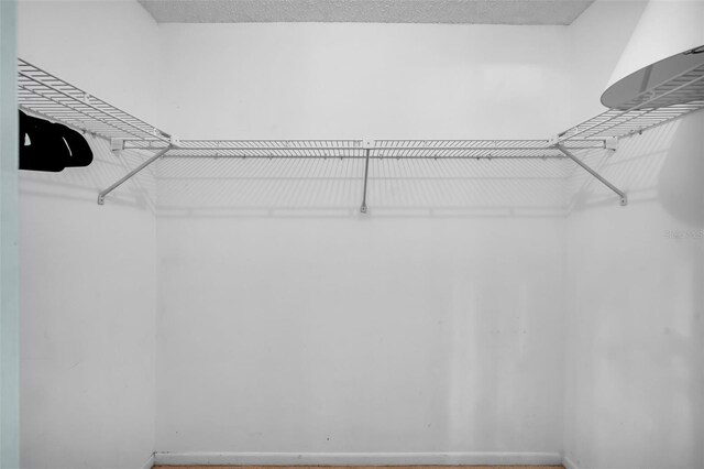 1400 Tarpon Woods Blvd Unit A4, Palm Harbor, FL 34685 - view of spacious closet