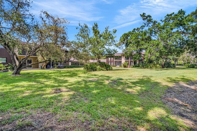1400 Tarpon Woods Blvd Unit A4, Palm Harbor, FL 34685 - view of grassy yard