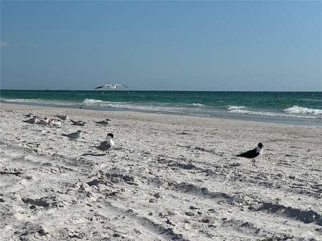 260 42nd Ave, St Pete Beach, FL 33706 - photo 32