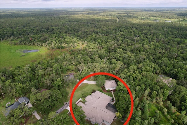 27511 Hialeah Way, Wesley Chapel, FL 33544 - aerial view of property and surrounding area featuring a heavily wooded area