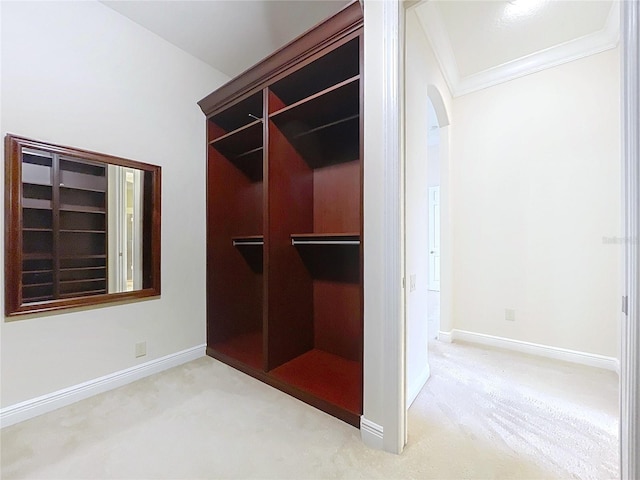 27511 Hialeah Way, Wesley Chapel, FL 33544 - spacious closet with carpet and arched walkways