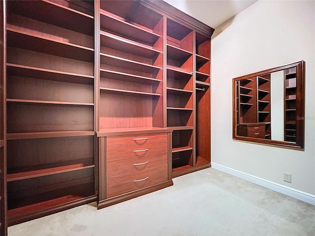 27511 Hialeah Way, Wesley Chapel, FL 33544 - walk in closet with carpet