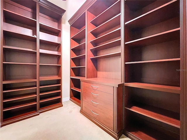 27511 Hialeah Way, Wesley Chapel, FL 33544 - walk in closet featuring light colored carpet