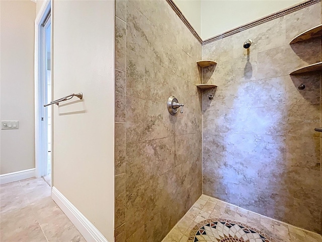 27511 Hialeah Way, Wesley Chapel, FL 33544 - full bathroom with tiled shower