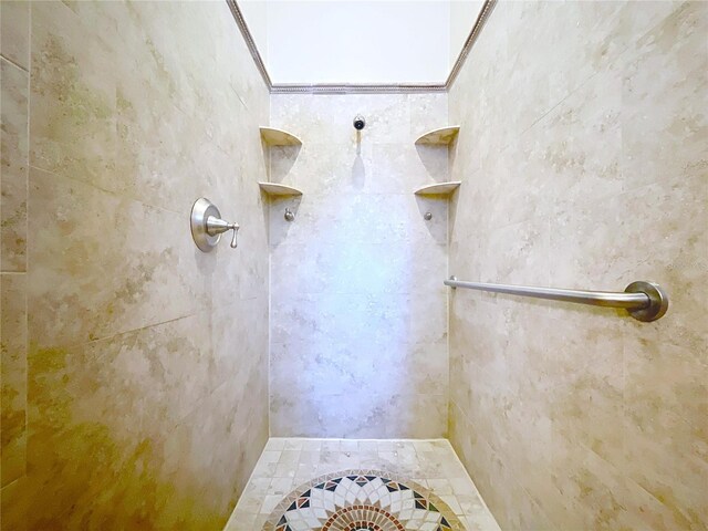 27511 Hialeah Way, Wesley Chapel, FL 33544 - full bathroom featuring tiled shower