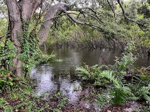 2990 Longbrooke Way, Clearwater, FL 33760 - photo 3