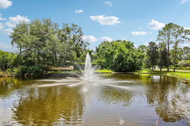 3062 Sutton Woods Dr, Plant City, FL 33566 - photo 46