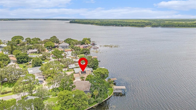 115 Lake Shore Dr E, Palm Harbor, FL 34684 - photo 29