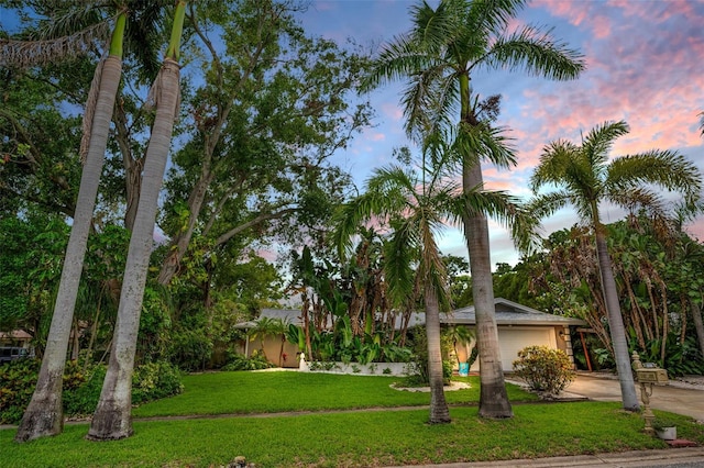 1151 Lancer Ln, Tarpon Springs, FL 34689 - view of front of property with concrete driveway, a front lawn, and a garage