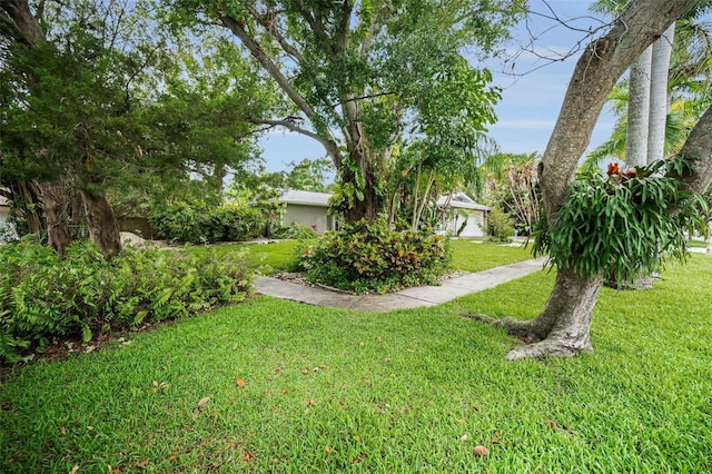 1151 Lancer Ln, Tarpon Springs, FL 34689 - view of grassy yard