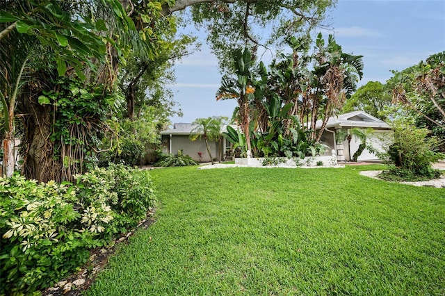 1151 Lancer Ln, Tarpon Springs, FL 34689 - view of grassy yard