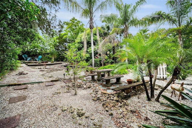 1151 Lancer Ln, Tarpon Springs, FL 34689 - view of yard