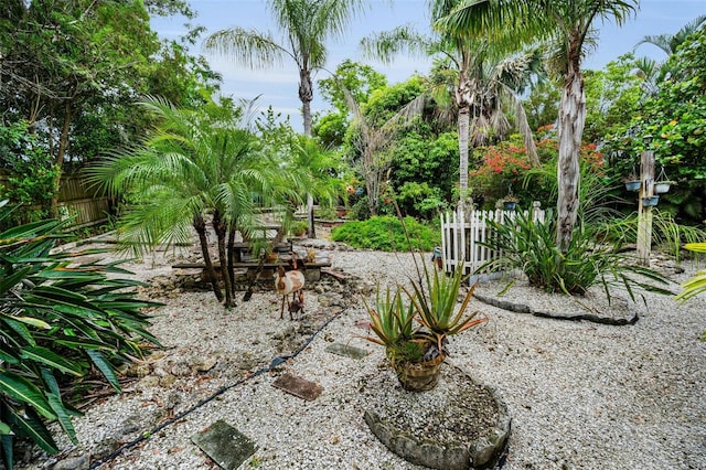 1151 Lancer Ln, Tarpon Springs, FL 34689 - view of yard