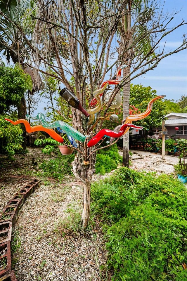 1151 Lancer Ln, Tarpon Springs, FL 34689 - view of yard