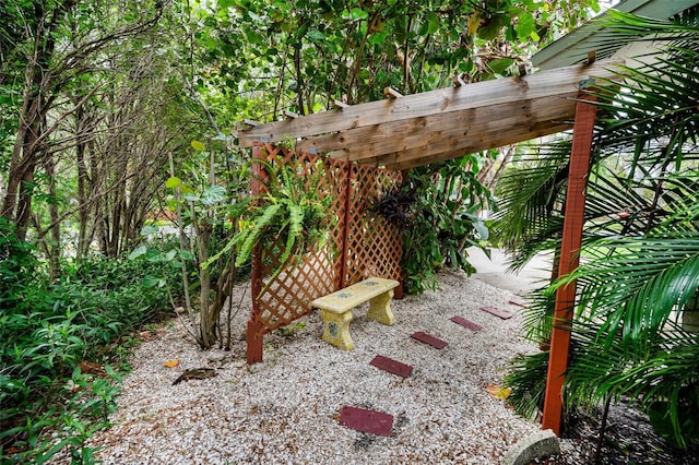 1151 Lancer Ln, Tarpon Springs, FL 34689 - view of yard